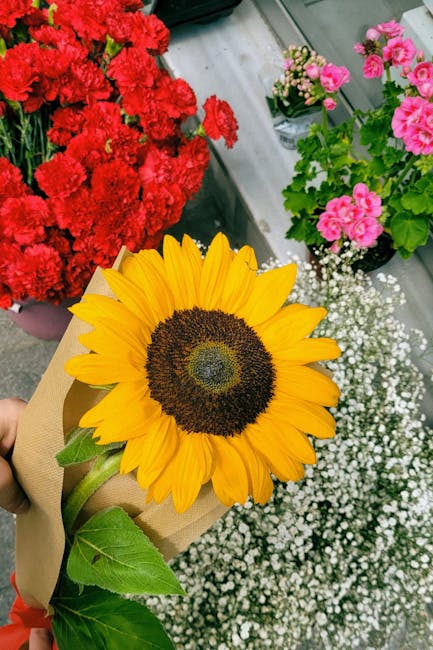 A vibrant bouquet featuring a large, bright yellow sunflower with a dark brown center, wrapped in plain brown paper, held by a person. In the background, there are clusters of red carnations, pink ger