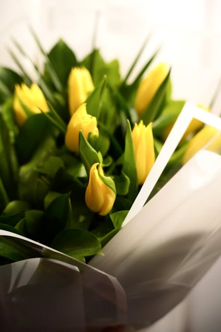 A close-up of a floral arrangement featuring vibrant yellow tulips with closed buds and lush green leaves, wrapped in elegant white paper and secured with a white ribbon. The tulips are fresh, with sm